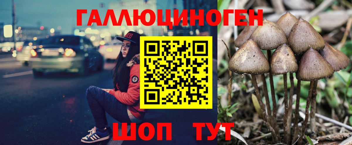 Галлюциногенные грибы Cubensis  Вход с VPN  Куйбышев  наркошоп  Псилоцибиновые грибы прущие грибы 